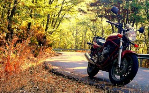 Autumn Motorcycle Riding