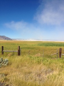 Oregon Outback Sandstorm