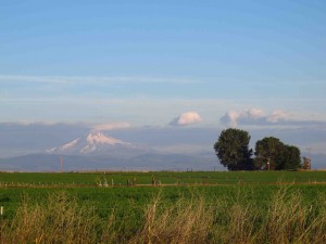 View from Campground in OR sm