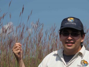 IMG_2930 7 foot high prairie grass sm