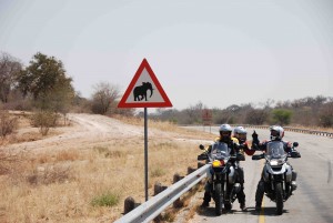 DSC_1763 elephant crossing sm