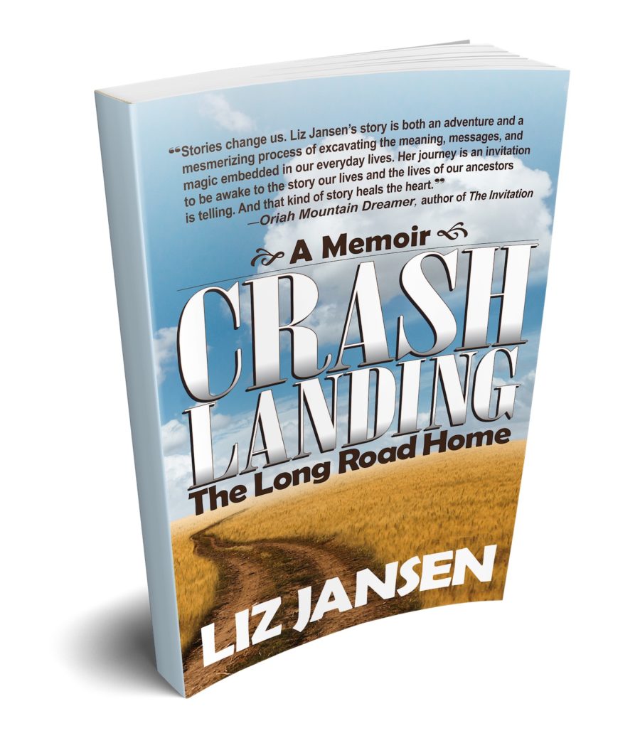 Crash Landing Liz Jansen