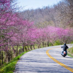 spring motorcycle hazards