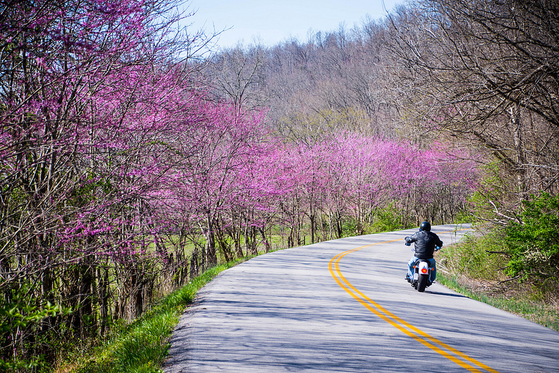 10 Spring Motorcycle Hazards and What to Do About Them