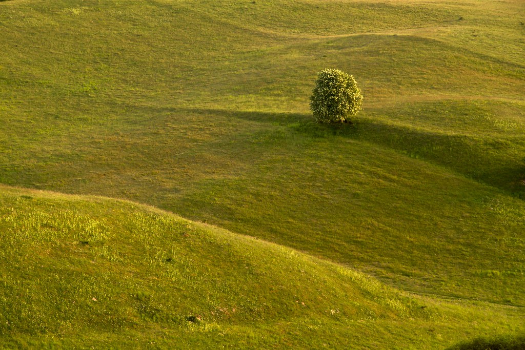 Motorcycles, Mennonites, and Métis…and More